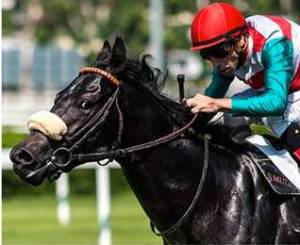 arpinati_esposito_p.passi__f80201db463c3