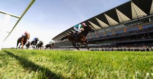 ascot cavalli e tribuna