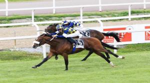 derby_dylan_mouth