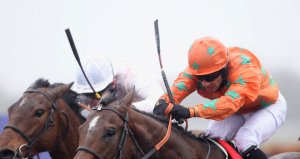 Es-Que-Love-Kempton_2929137