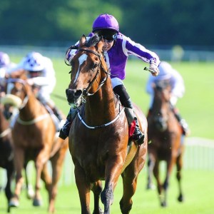 Highland Reel