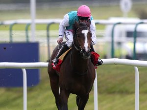 snow-sky-jim-crowley_3139065