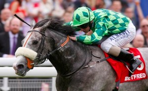 the grey gatsby