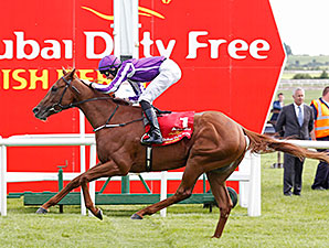 AustraliaIrishDerby2014TJ298