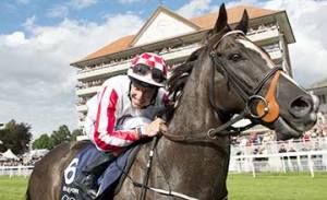 sole power
