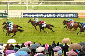 zarshana prix minerve