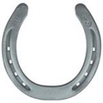 10501738_767830239945961_3944134573011687003_n