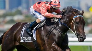 black caviar