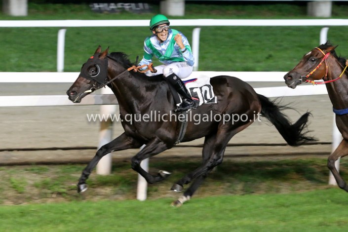 cafaggio bossa città varese 2