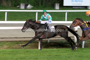 cafaggio bossa città varese