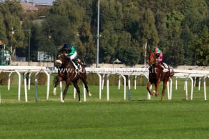 HALLING SPECTRUM-VOLTA