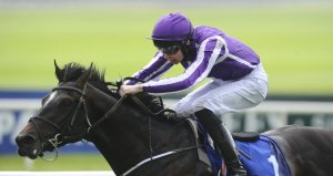 adelaide-obrien-curragh_3147654