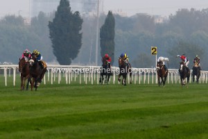 dylan jockey club 2014.2