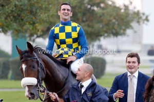 dylan jockey club 2014.3