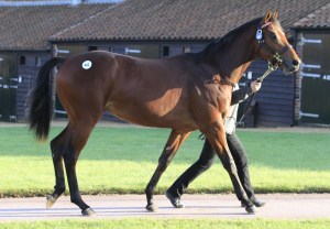 galileo lot 442 top price 2014 tatt