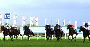 madame-chiang-filles-and-mares-silk-sari-chicquita