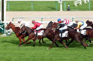 moonee valley reservoirs