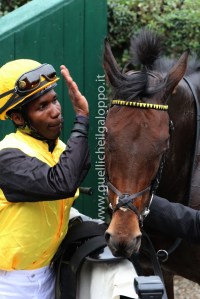 PEDROZA QUADUNA VERZIERE