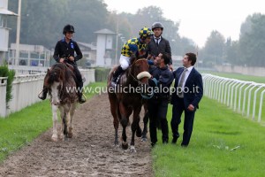 RIENTRO HERO LOOK GC