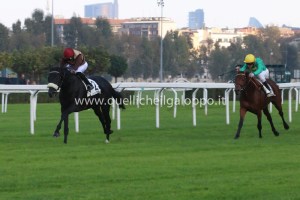 rock of romance st leger 2014