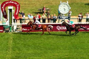 ruler of the world - foy