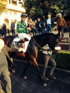 spicy jam dario vargiu pandolfi