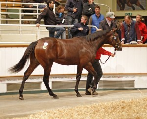 top price book2 tatt 2014