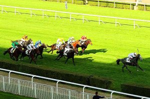 vert de grece crit. saint cloud