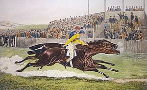 300px-Melton_vs_Paradox