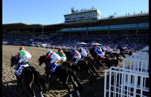 Breeders-Cup-Experiences-Santa-Anita-Grandstand-O-Q-QuintEvents-1
