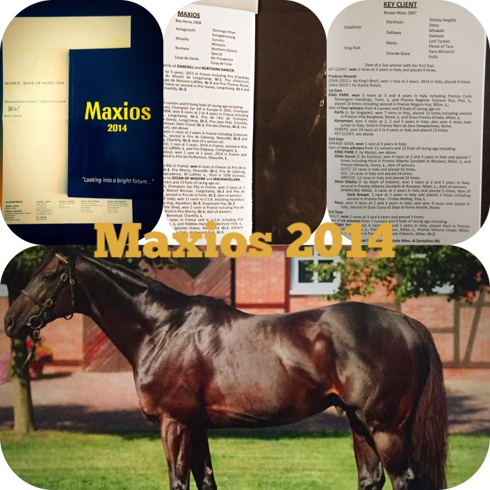 Maxios 2014