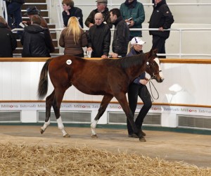 966 oasis dream toi et moi