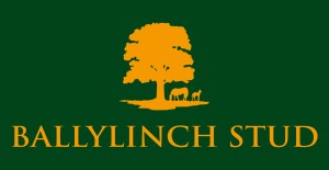 Ballylinch Stud Logo