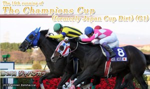 japan cup dirt