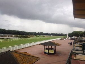 pisa san rossore edo