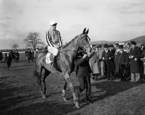 England Cheltenham Gold Cup 1930