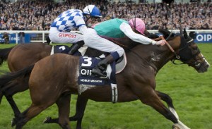 noble mission champions stakes