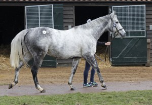 sutton veny feb sale