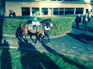 clockwinder2 pisa 2015