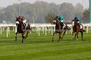 fontanelice dormello 2014