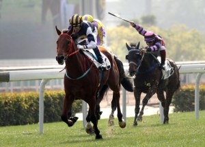 Luger sha tin