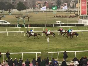 pentagono premio razza di vedano