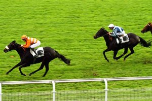 ameenah prix miesque