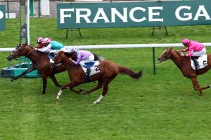 billabong cristian demuro