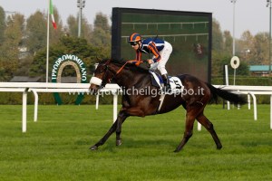 fontanelice dormello 2014.2