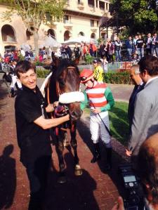 goldstream botticelli 2015