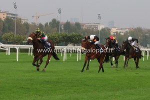 gran criterium hero look