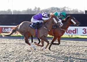 grey mirage botti manfredini lingfield