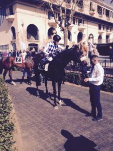 kaspersky natale di roma