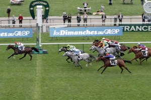 le scribe handicap longchamp